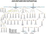 Click to view big image Network-Map--Manado-Bitung-Tomohon-Sitaro-Talaud-Ternate-Tobelo.jpg